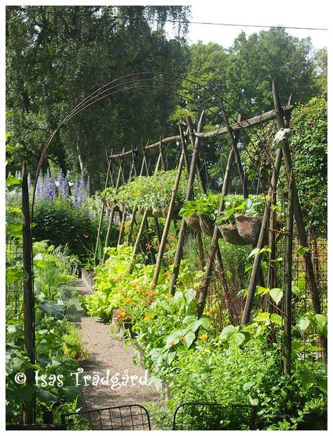 Country Garden Design, Vegetable Garden Raised Beds, Allotment Gardening, Vegetable Garden Planning, Willemstad, Market Garden, Veg Garden, Side Garden, Italian Garden