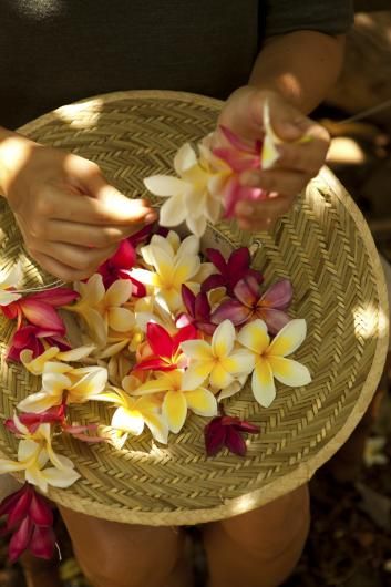 Native Hawaiian Culture, Hawaii Culture Aesthetic, Tahitian Culture, Hawaii Festival, Hawaii Spa, Aquatic Aesthetic, Hawaii Culture, Lei Hawaii, Frangipani Wedding