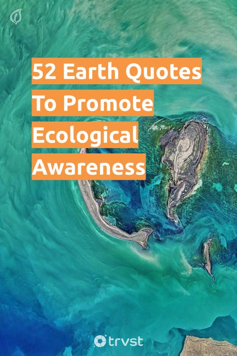 Save Earth Quotes, Takers Quotes, Quotes Environment, Planet Quotes, Planets Quote, Save Earth Posters, Earth Day Quotes, Environmental Quotes, Environment Quotes