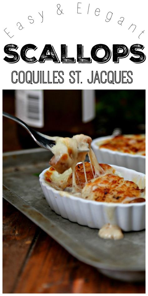 How to Make Scallops Coquilles St. Jacques - bell' alimento Passover Plates, How To Make Scallops, Coquilles St Jacques, Seafood Scallops, Scallop Dishes, Seafood Entrees, Elegant Appetizers, Coquille Saint Jacques, Shellfish Recipes