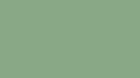 Mermaids Cove Solid Color Background Image | Free Image Generator Traditional Paint, Farrow And Ball Paint, Little Greene Paint, Storing Paint, Solid Color Backgrounds, Paint Samples, Painted Floors, Little Greene, Farrow Ball