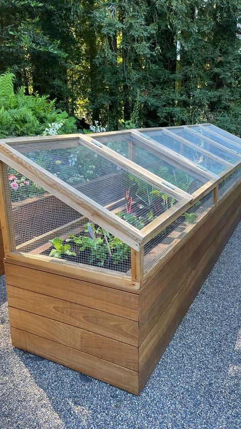 Plant Cages, Cold Frame, Backyard Farming, Home Vegetable Garden, Vegetable Garden Design, Garden Boxes, Veggie Garden, Raised Beds, Raised Garden Beds