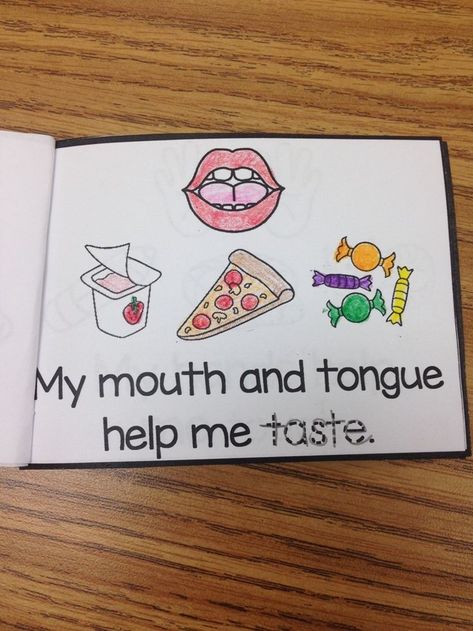 Body Parts Theme, 5 Senses Craft, My 5 Senses, 5 Senses Preschool, Kindergarten Spelling, Five Senses Preschool, 5 Senses Activities, Senses Preschool, My Five Senses