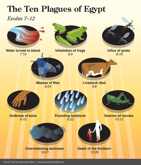 Ten plagues of Egypt Remember each plagues was tear down an Egypt God The Ten Plagues Of Egypt, Ten Plagues Of Egypt, Caleb Y Sofia, Family Worship Night, Quick View Bible, Plagues Of Egypt, Ten Plagues, Bible Study Help, Family Worship