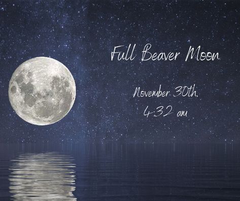 Each Full Moon brings a certain energy to the Universe. When we are aware of what these energies want from us, and we tap into it - miracles happen. Bringing in abundance, happiness, and joy. This Full Beaver Moon is bringing a lot of energy to the table. It is time to face the less desirable parts of the self, and accept it fully. Take these lessons as tools for your future. Check out the blog for all the details, and a step by step Full Moon Ritual helping you put your best foot forward. Beaver Moon, Moon Ritual, Full Moon Ritual, Miracles Happen, What You Can Do, Full Moon, The Universe, Ritual, You Can Do