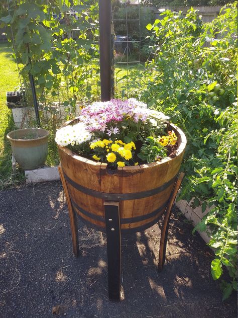 Elevated Planter, Wine Barrel Furniture, Barrel Planter, Barrel Furniture, Barrel Rings, Whisky Barrel, Outdoor Crafts, Wooden Barrel, Bottle Corks