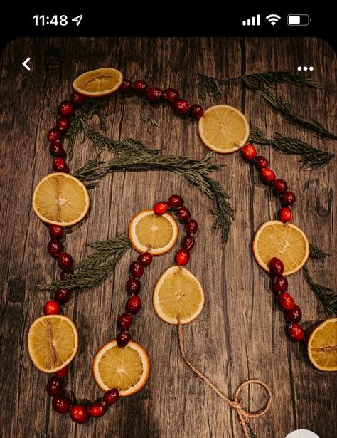 Diy Orange And Cranberry Garland, Dried Oranges And Cranberry Garland, Homemade Orange Garland Christmas, Dried Orange Garland Fireplace, Diy Orange Garland Christmas, How To Make An Orange Garland, Homemade Orange Garland, Christmas Tree Orange Garland, Cranberry And Orange Garland