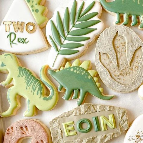 T Rex Cookies Royal Icing, Dinosaur Cookies Decorated, Stamped Cookies, Houston Eats, Dinosaur Cookies, Sugar Cookie Royal Icing, Dino Birthday, April 12, Royal Icing Cookies