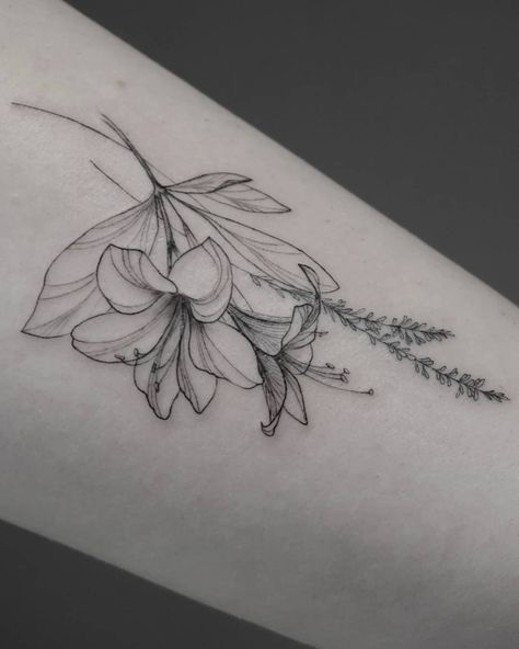 Azalea Flower Tattoo Simple, Azalea Tattoos, Azalea Flower Tattoo, Azalea Tattoo, Book Inspired Tattoos, Hibiscus Bouquet, Flower Bouquet Tattoo, Iris Tattoo, Hibiscus Tattoo