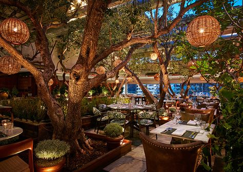 Soho House, West Hollywood - Hang paper lanterns from trees to get different levels of lighting. Greenhouse Restaurant, Outdoor Restaurant Patio, Rooftop Gardens, Architecture Restaurant, Gorgeous Places, Restaurant Patio, Garden Cafe, Garden Greenhouse, Outdoor Restaurant