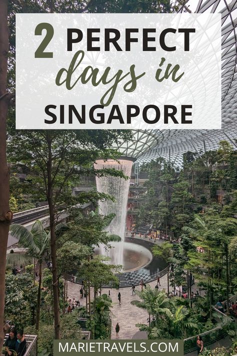 Changi Airport in Singapore Singapore Travel Tips, Singapore Itinerary, Singapore Changi Airport, Indoor Waterfall, Wildlife Reserve, Amazing Street Art, Singapore Travel, Asia Travel Guide, Gardens By The Bay