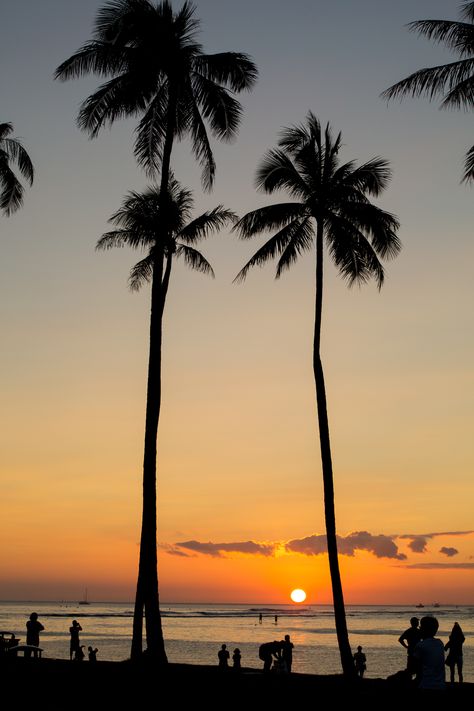 Well, since most of us are stuck indoors, might as well share some photos.  Magic Island/ Ala Moana Beach.  . . #honolulu #hawaii #flashback #travel #island #sunset #magicisland #palmtrees #beach #sand #ocean #waves Ala Moana Beach, Travel Island, Ala Moana, Island Sunset, Magic Island, Photography Company, Honolulu Hawaii, Beach Sand, Moana