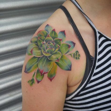 Succulent Tattoo Ideas, Tattoo Elements, Desert Tattoo, Succulent Tattoo, Cactus Tattoo, Birthday Tattoo, Succulent Art, Plant Tattoo, Cute Small Tattoos