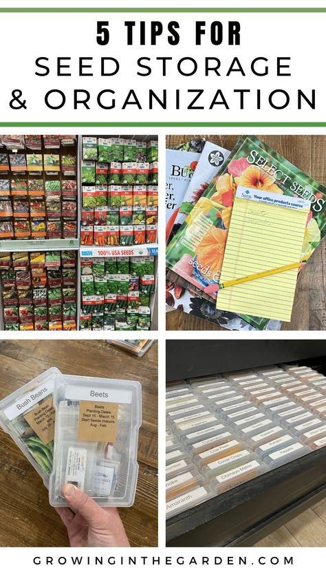 Organizing Garden Seeds, How To Organize Garden Seeds, Seed Saving Ideas, Seedling Organization, Organizing Seed Packets, Seed Storing Ideas, Seed Packet Organization, Seed Container Ideas, Diy Seed Organizer