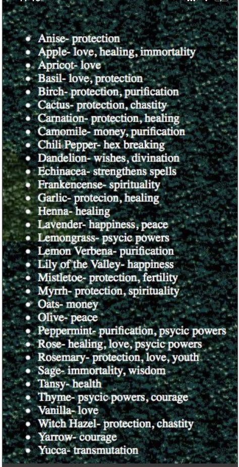 List Of Herbs And Their Uses, Herbs In Spells, Herbs For Luck Witchcraft, Herbs For Power Witchcraft, Health Herbs Witchcraft, Spices And Herbs List Witchcraft, Herbs List Witchcraft, List Of Herbs And Their Benefits, Herbs For Magic