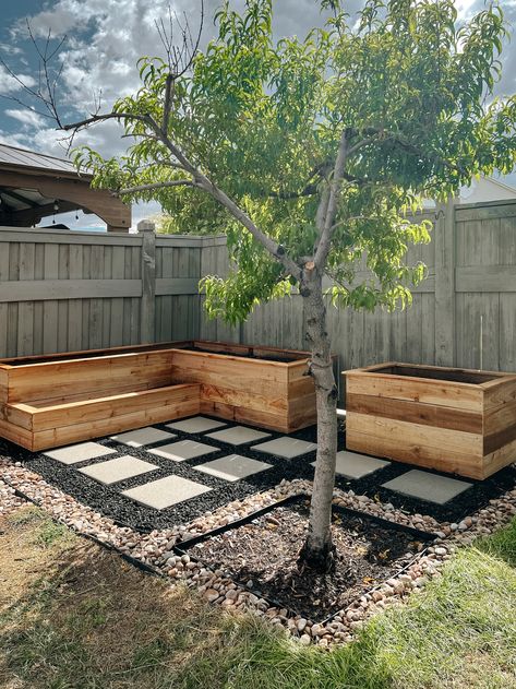 Cedar Planter Boxes, Nature Backyard, Backyard Raised Garden, Picturesque Garden, Backyard Planters, Cedar Planter Box, Garden Boxes Raised, Cedar Planters, Garden Planter Boxes