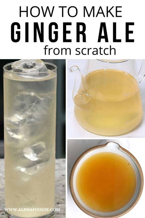 Gingerale Recipes, Diy Ginger Ale, Cranberry Ginger Ale, Ginger Ale Recipe, Homemade Ginger Ale, Ginger Recipe, Ale Recipe, Kombucha Recipe, Homemade Soda