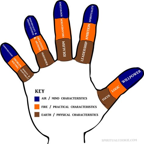 Palmistry: Reading Finger Signs & Meaning of Parts of Fingers | Spiritual Cookie Clairvoyant Psychic Abilities, Finger Meaning, Palmistry Reading, Job Inspiration, Sign Meaning, Health Podcast, Healthy Lifestyle Quotes, Blemish Remover, Health Habits