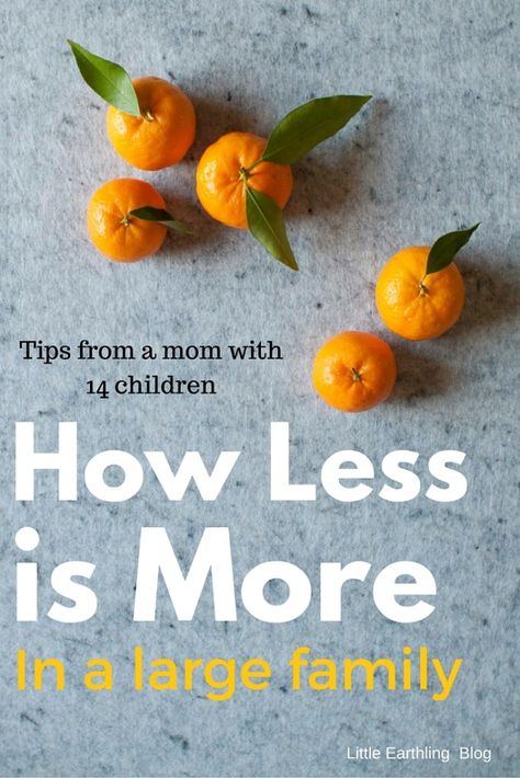 How Less is More in a Large Family Large Family Tips, Large Family Organization, Large Families Living, Happy Homemaking, Kitchen Necessities, Large Families, Multiplication For Kids, Baby Prep, Family Of 4