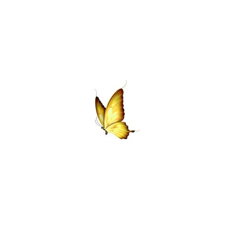 Yellow Png Icons, Yellow Butterfly Tattoo, Yellow Widgets, Hydrangea Tattoo, Borboleta Tattoo, Fingerprint Tattoos, Yellow Png, Ios Screen, Butterfly Tattoo Meaning