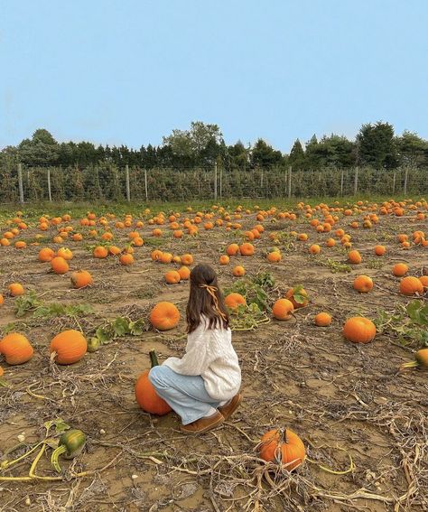 Aesthetic pumpkin patch pics Pumpkin Picking Pictures, Pumpkin Patch Pics, Aesthetic Pumpkin Patch, Aesthetic Pumpkin, Pumpkin Patch Photoshoot, Pumpkin Patch Pictures, Fall Instagram, Fall Photo Shoot Outfits, Patch Outfit