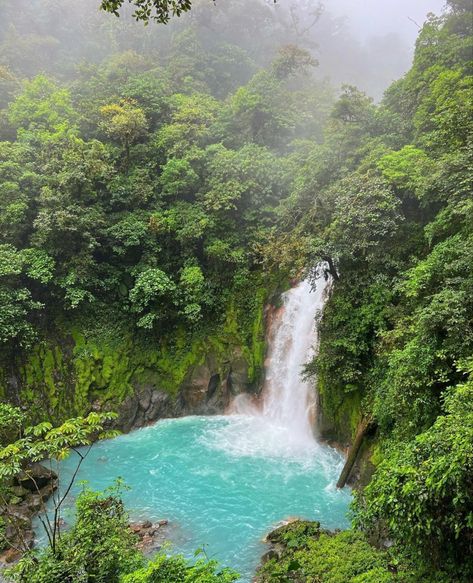 Costa Rica Hiking, Rio Celeste Costa Rica, Photography Nature, Vacation Destinations, Travel Vacation, Summer Vacation, Costa Rica, Adventure Travel, Landscape Photography