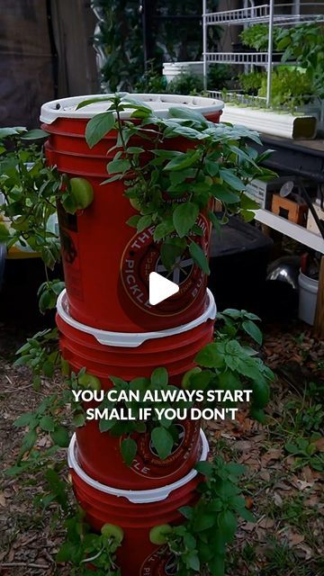 Keep on Growin' on Instagram: "Start small, lear lots, have fun. Here's an easy alternative to a vertical tower garden to get you started with hydroponics. 😀🌿👍 #diy #hydroponics #gardening #towergarden" Vertical Grow Tower, Diy Hydroponic Tower Garden, Vertical Hydroponic Gardening Diy, Diy Garden Tower, Tower Garden Diy, Vertical Hydroponics, Hydroponic Gardening Diy, Grow Tower, Diy Hydroponics