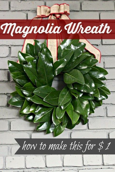 Magnolia Wreaths, Diy Magnolia Wreath, Magnolia Leaf Wreath, Magnolia Leaf, Dye Flowers, Magnolia Wreath, Magnolia Leaves, Wreath Tutorial, Leaf Wreath