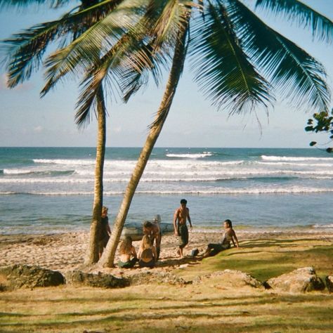 Banks Icon, Outer Banks Beach, Rudy Pankow, Talented People, Paradise On Earth, Tropical Island, Summer Dream, Tropical Islands, Island Life