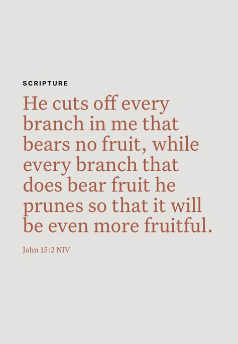 The pain of pruning is the reward of fruitfulness! God Pruning Quotes, Pruning Season God, Godly Womanhood, Jesus Freaks, Remember God, I Love The Lord, Know Your Worth, Christian Relationship Advice, Bible Study Verses