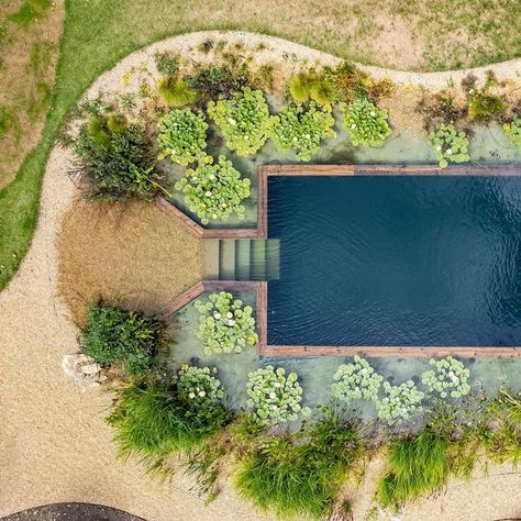 Bio Pool, Swimming Pool Pond, Dream Backyard Garden, Living Pool, Natural Swimming Ponds, Pool Landscape Design, Natural Pond, Swimming Pond, Piscina Natural