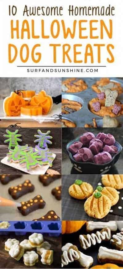 Holiday Dog Treats, Halloween Dog Treats, Pet Treats Recipes, Dog Treats Homemade Easy, Easy Dog Treat Recipes, Frozen Dog Treats, Dog Biscuit Recipes, Easy Dog Treats, Healthy Dog Treats Homemade