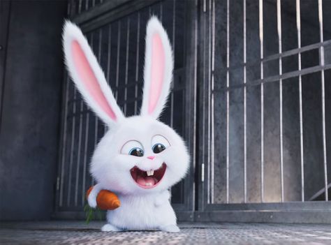 Kevin Hart, The Secret Life Of Pets Snowball Rabbit, Pets Movie, Rabbit Wallpaper, 디즈니 캐릭터, Cute Bunny Cartoon, Bunny Wallpaper, Secret Life Of Pets, Bunny Pictures, Mtv Movie Awards