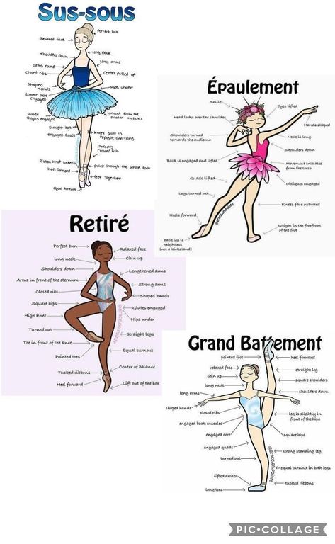 Tari Balet, Ballet Steps, Ballet Terms, Ballet Basics, World Ballet Day, Beginner Ballet, Ballerina Workout, Ballet Positions, Ballet Lessons