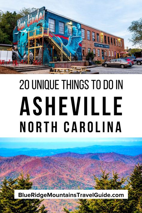 Asheville Things To Do, Asheville Hikes, Ashville North Carolina, Things To Do In Asheville, Downtown Asheville Nc, North Carolina Art, North Carolina Vacations, North Carolina Travel, Pisgah National Forest