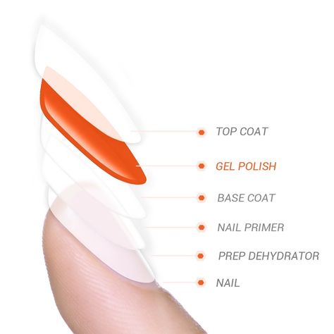 Nail Painting Tips, Nail Dehydrator, Gel Application, Nail Base, Gel Nail Removal, Nail Tutorial Videos, Business Nails, Nail Courses, Nail Primer