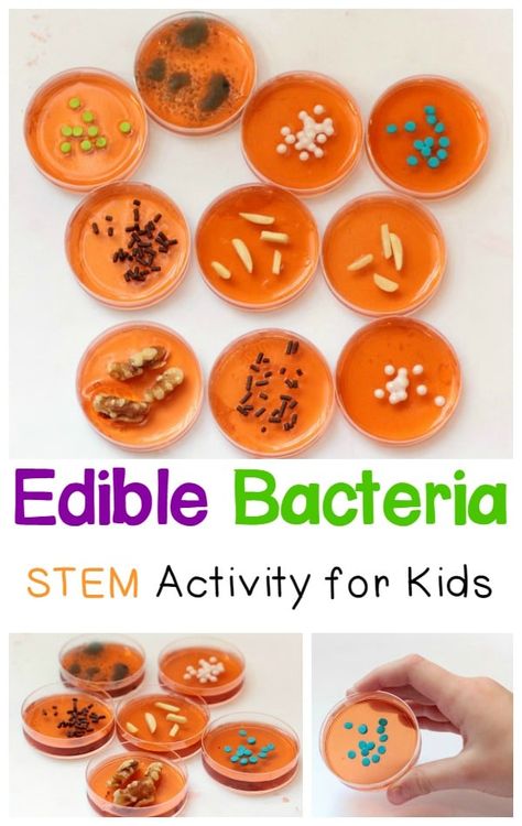 Biology Party, Wacky Science, Oppgaver For Barn, Halloween Stem Activities, Candy Experiments, Science Birthday Party Ideas, Steam Kids, Science Experience, Fall Science