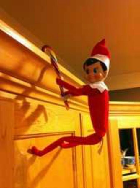 Elf hanging by candy cane Shelf Inspiration, Awesome Elf On The Shelf Ideas, Elf Magic, Elf On A Shelf, Elf Activities, Xmas Elf, Elf Antics, Elf Fun, Christmas Tablescape