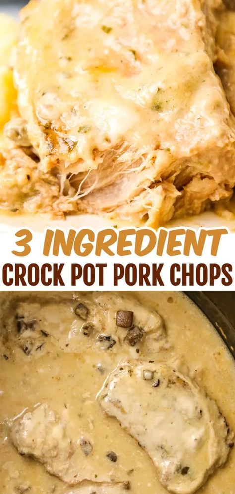 Crockpot Recipes Porkchops, Porkchops Crockpot Easy, Crockpot Smothered Pork Chops Easy, Smothered Pork Chops Crock Pot Easy, Boneless Pork Chop Slow Cooker Recipes, Slow Cooker Alpine Pork Chops, Mushroom Soup Pork Chops Crock Pot, Crockpot Boneless Pork Chop Recipes, Boneless Pork Chop Crock Pot Recipes