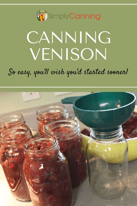 Canning venison is so easy, I wish I had started years ago! Use this pressure canning recipe to preserve your own meat during hunting season too. Find out more at #SimplyCanning #CanningVenison #Venison Canning Venison, Canned Venison, Pressure Canning Meat, Canning Instructions, Pressure Canning Recipes, Deer Recipes, Freezing Food, Ground Venison, Home Canning Recipes