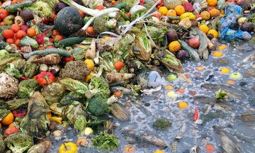 Our Ridiculously Massive Food Waste Is Driving Climate Change Food Waste Project, Food Wastage, State Foods, World Hunger, India Food, Edible Food, Food Supply, Growing Food, Food Industry