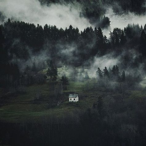 . 블로그 디자인, Foggy Day, Intj, Foto Inspiration, Cabins In The Woods, Pics Art, 그림 그리기, In The Middle, A House