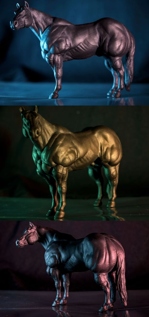 Horse Muscle Hypertrophy Study by Carlwoof Horse Muscles, Muscle Hypertrophy, Leg Muscles, Horse Art, Lion Sculpture, Horses, Statue, Photography, Animals