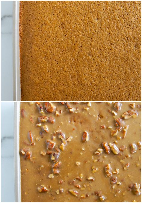 Maple Pecan Texas Sheet Cake | Bake at 350° Maple Sheet Cake Recipe, Maple Texas Sheet Cake, Sweet Potato Sheet Cake, Maple Sheet Cake, Butter Pecan Sheet Cake, Pecan Sheet Cake, Buttermilk Icing, Poured Icing, Maple Cake