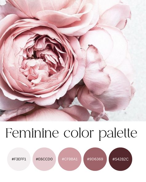 Blush Pink And Mauve Color Palette, Feminine Color Pallete, Rose Garden Color Palette, Feminine Color Scheme, Peony Color Palette, Feminine Branding Logo Color Palettes, Coquette Color Palette, Pink Branding Color Palette, Dusty Rose Color Palette