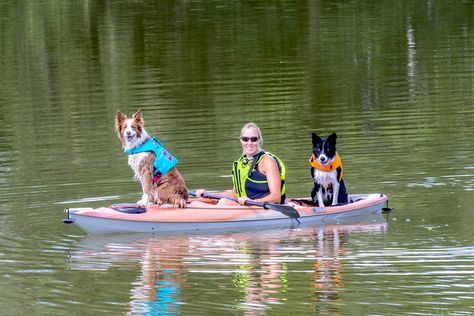 Kayak With Dogs, Dog Kayaking, Dog Bucket List, Kayaking With Dogs, Sit On Kayak, Pet Items, Dog Camping, Life Vest, Surf Board