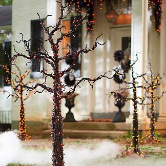 Lighted Decor | Grandin Road Creepy Outdoor Halloween Decor, Halloween Yard Props, Grandin Road Halloween, Veranda Design, Spooky Tree, Halloween Decorations Outdoor, Spooky Trees, Halloween Porch Decorations, Halloween Front Porch