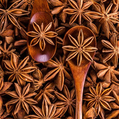 Simmer Pot Recipes, Sistem Pencernaan, Simmer Pot, Anise Seed, Divine Healing, Masala Chai, Star Anise, Natural Face, Spice Blends