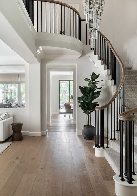 House With Two Staircases, Foyer Design Staircase, Dramatic Staircase Entryway, Curved Staircase Railing Ideas, Entrance To Stairs, Staircase Nook Decor, European Style Staircase, Transitional Home Staircase, Transitional Style Foyer Entryway