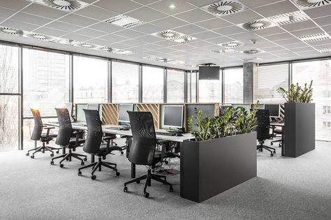 Open Office Design, Interior Kantor, Open Space Office, Modern Office Space, Cool Office Space, Modern Office Interiors, Corporate Office Design, Office Space Design, Comfortable Office